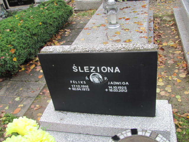 Feliks Śleziona 1916 Pszczyna Piasek - Grobonet - Wyszukiwarka osób pochowanych