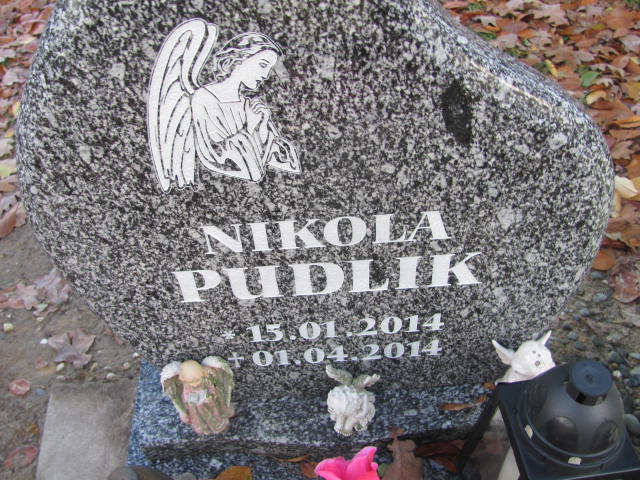 Nikola Pudlik 2014 Pszczyna Piasek - Grobonet - Wyszukiwarka osób pochowanych